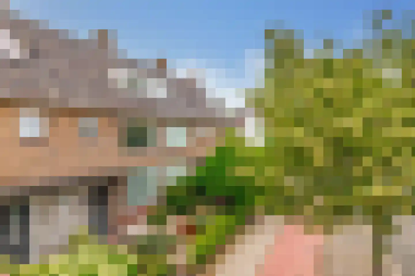 Burgemeester Smeelelaan 90 Waalwijk thumbnail 5