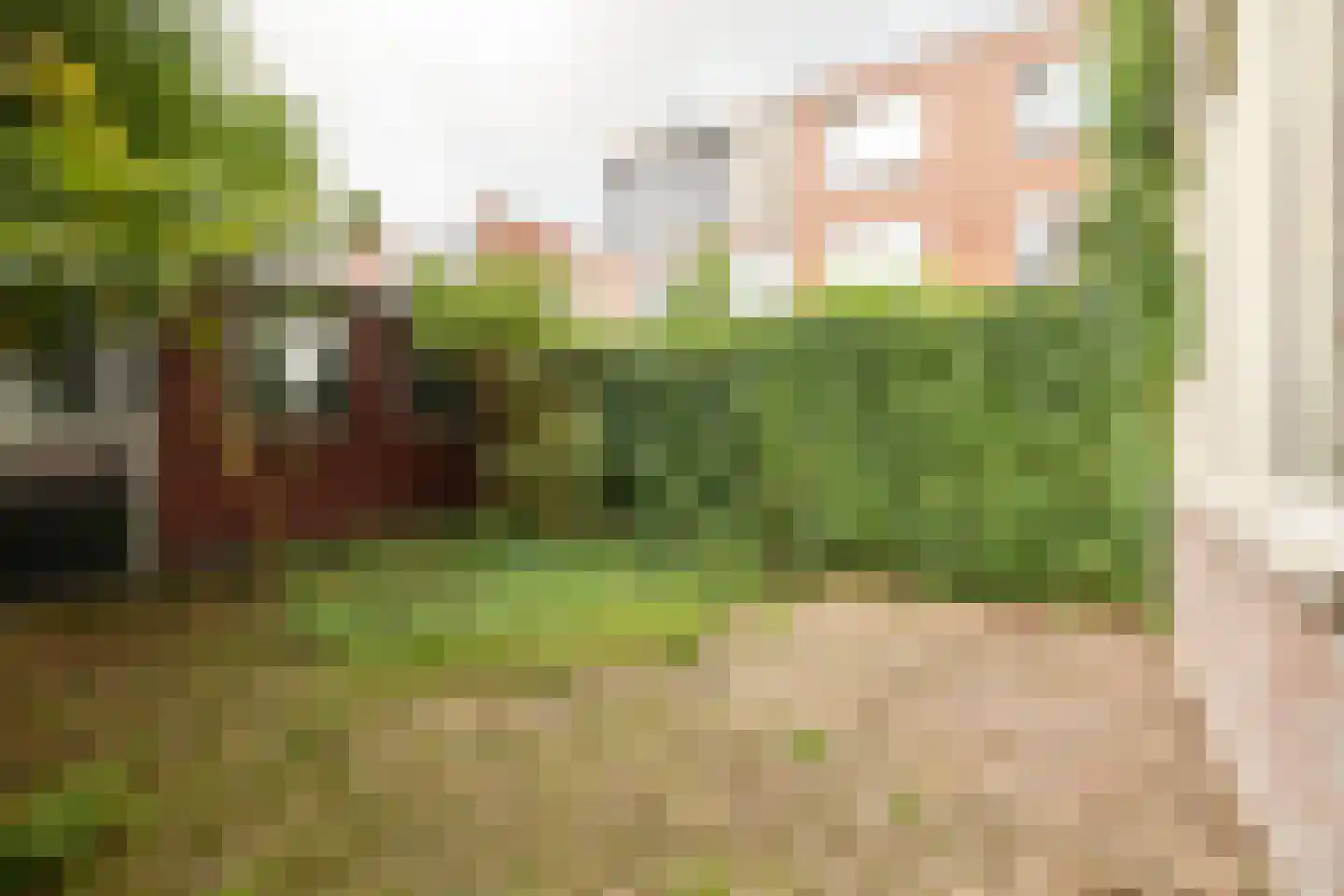 Burgemeester Smitsstraat 2 Utrecht thumbnail 13