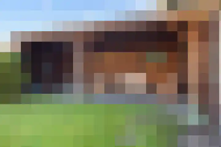 Burgemeester Smitstraat 14 Sprang-Capelle thumbnail 21