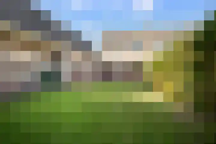 Burgemeester Smitstraat 14 Sprang-Capelle thumbnail 4