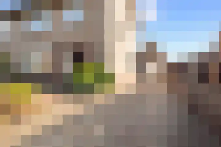 Burgemeester Smitstraat 14 Sprang-Capelle thumbnail 7