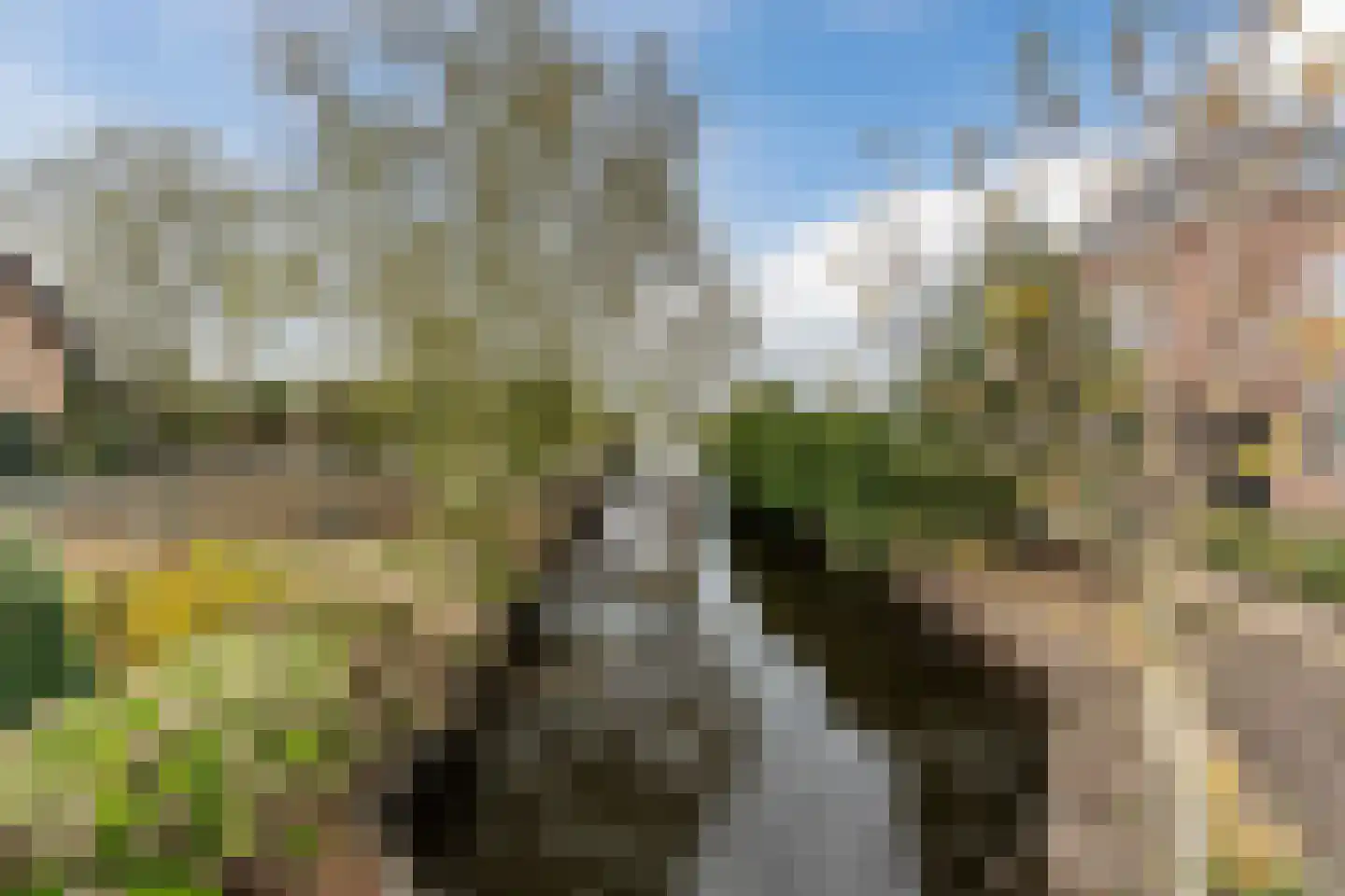 Burgemeester Smitweg 42 Hazerswoude-Dorp thumbnail 52