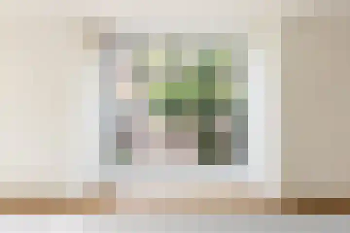 Burgemeester Snellenstraat 5 Kortgene thumbnail 12