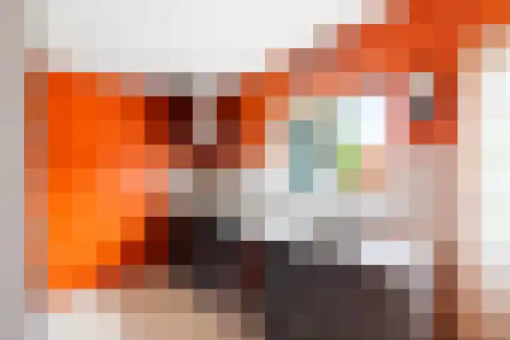 Burgemeester Snellenstraat 5 Kortgene thumbnail 5