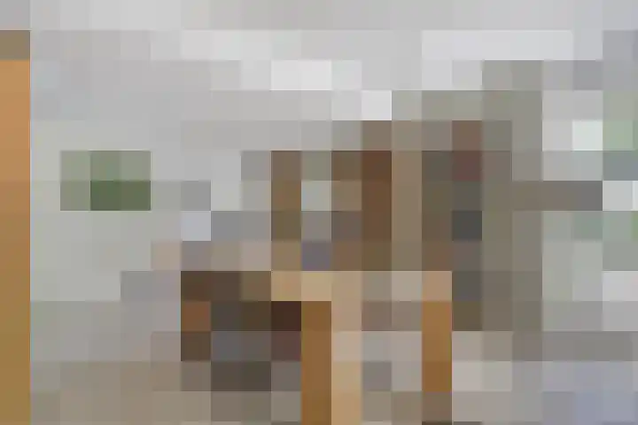 Burgemeester Sprengerlaan 2 Ewijk thumbnail 15