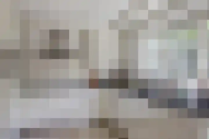 Burgemeester Sprengerlaan 2 Ewijk thumbnail 17