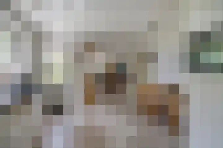 Burgemeester Sprengerlaan 2 Ewijk thumbnail 19