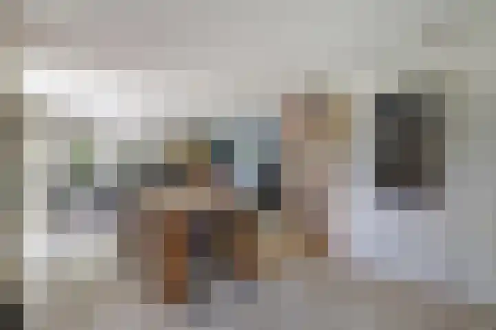 Burgemeester Sprengerlaan 2 Ewijk thumbnail 20