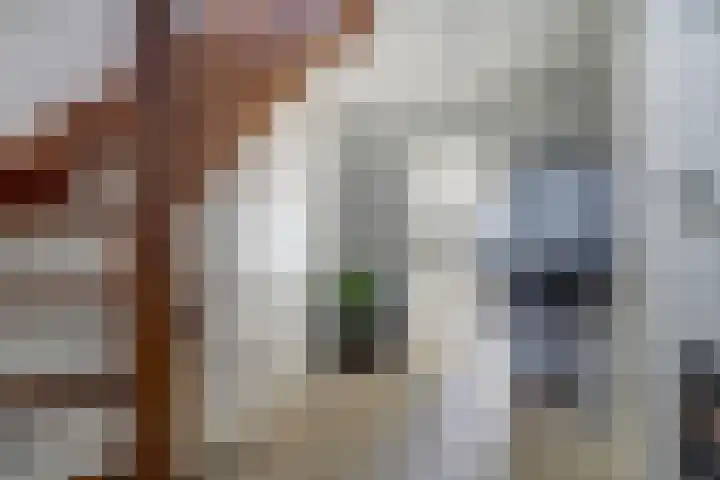 Burgemeester Sprengerlaan 2 Ewijk thumbnail 23