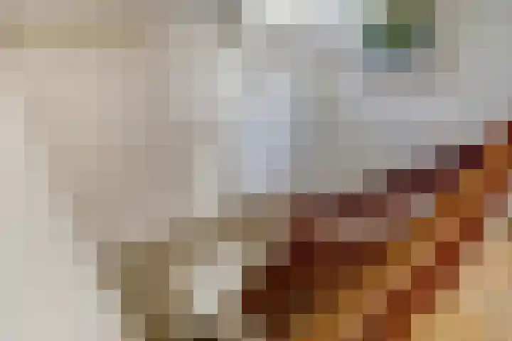 Burgemeester Sprengerlaan 2 Ewijk thumbnail 24