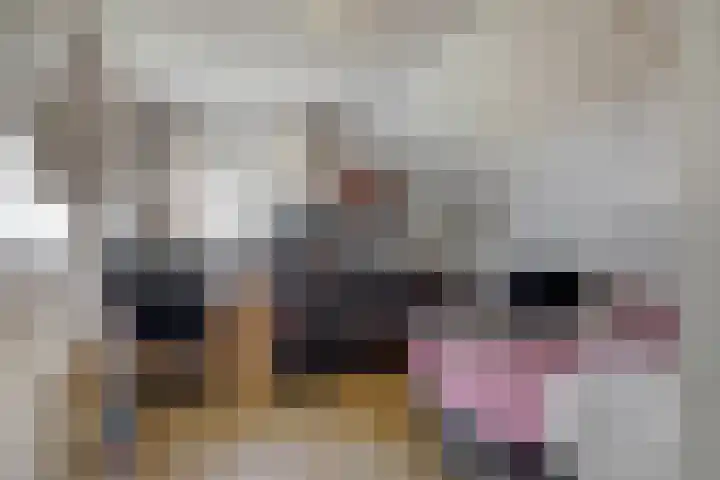 Burgemeester Sprengerlaan 2 Ewijk thumbnail 26