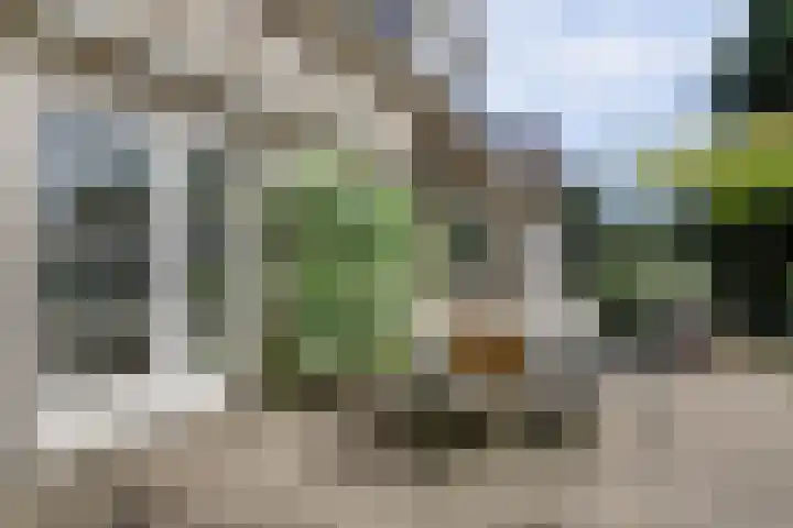 Burgemeester Sprengerlaan 2 Ewijk thumbnail 47