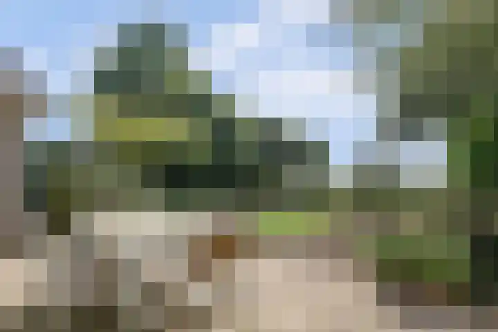 Burgemeester Sprengerlaan 2 Ewijk thumbnail 48