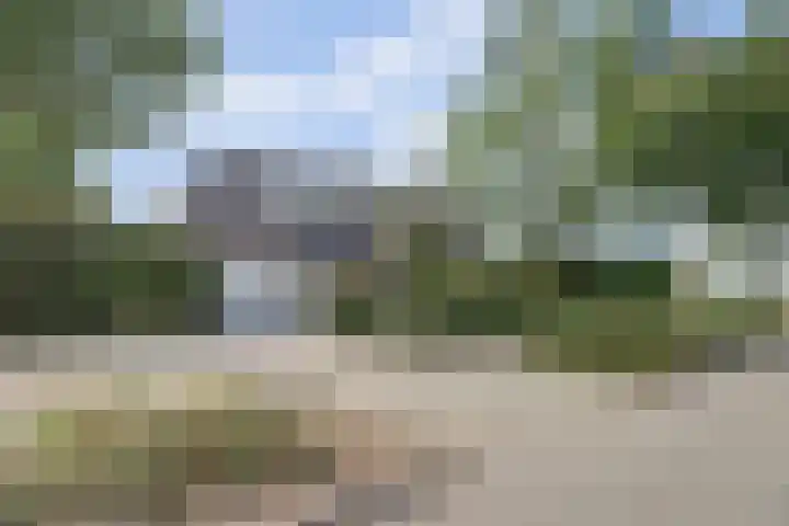 Burgemeester Sprengerlaan 2 Ewijk thumbnail 5