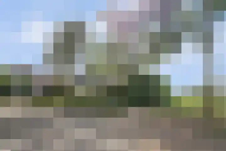 Burgemeester Sprengerlaan 2 Ewijk thumbnail 6