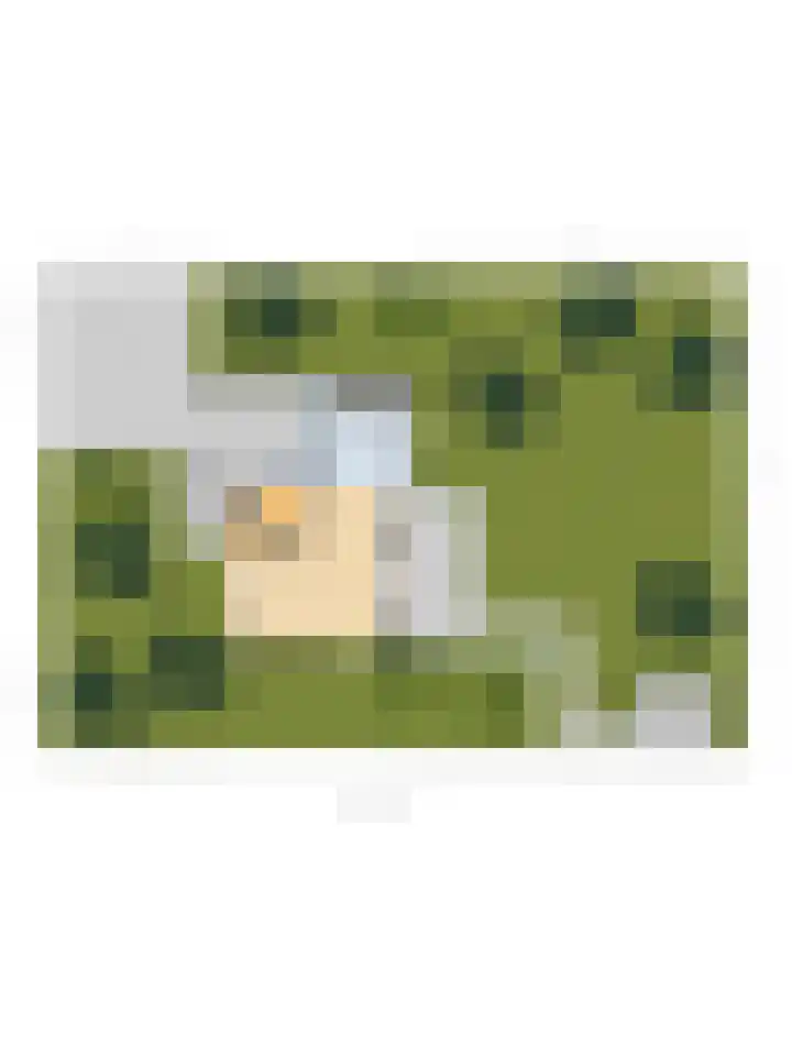 Burgemeester Sprengerlaan 2 Ewijk thumbnail 62