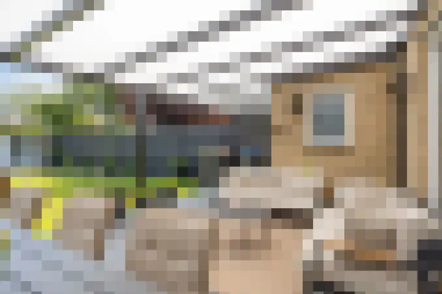 Burgemeester Sprengerlaan 3 Ewijk thumbnail 35