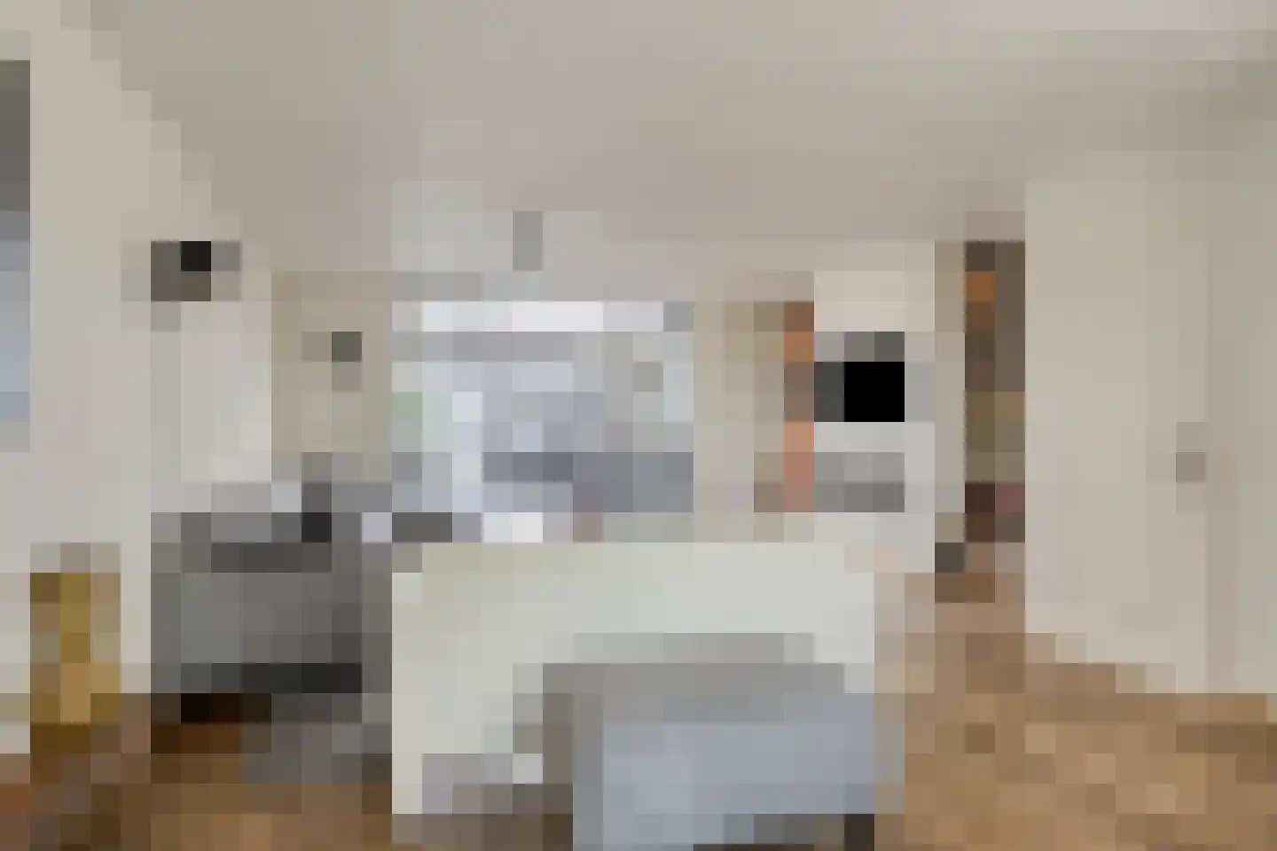 Burgemeester Sprengerlaan 3 Ewijk thumbnail 4