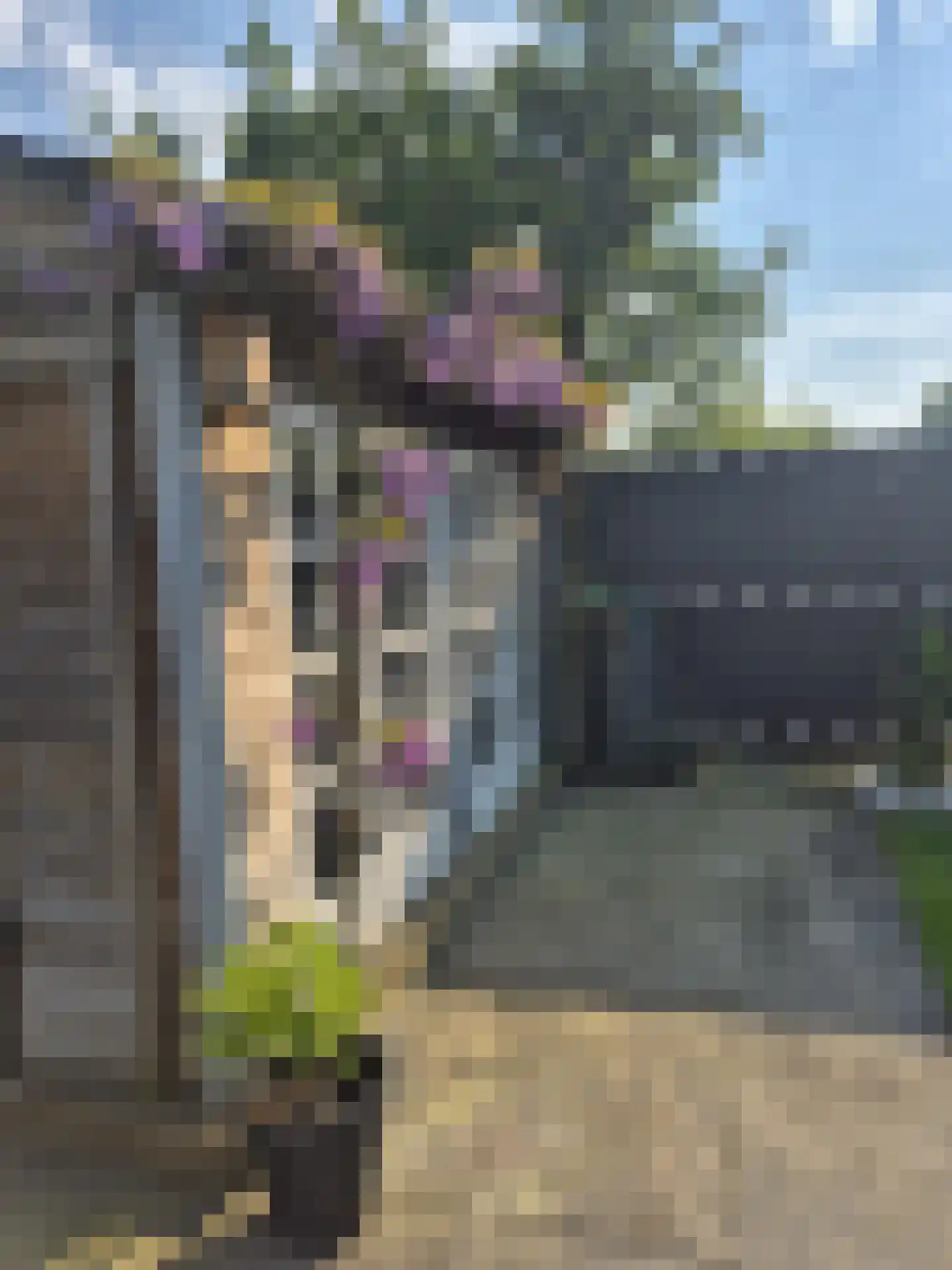 Burgemeester Sprengerlaan 3 Ewijk thumbnail 40