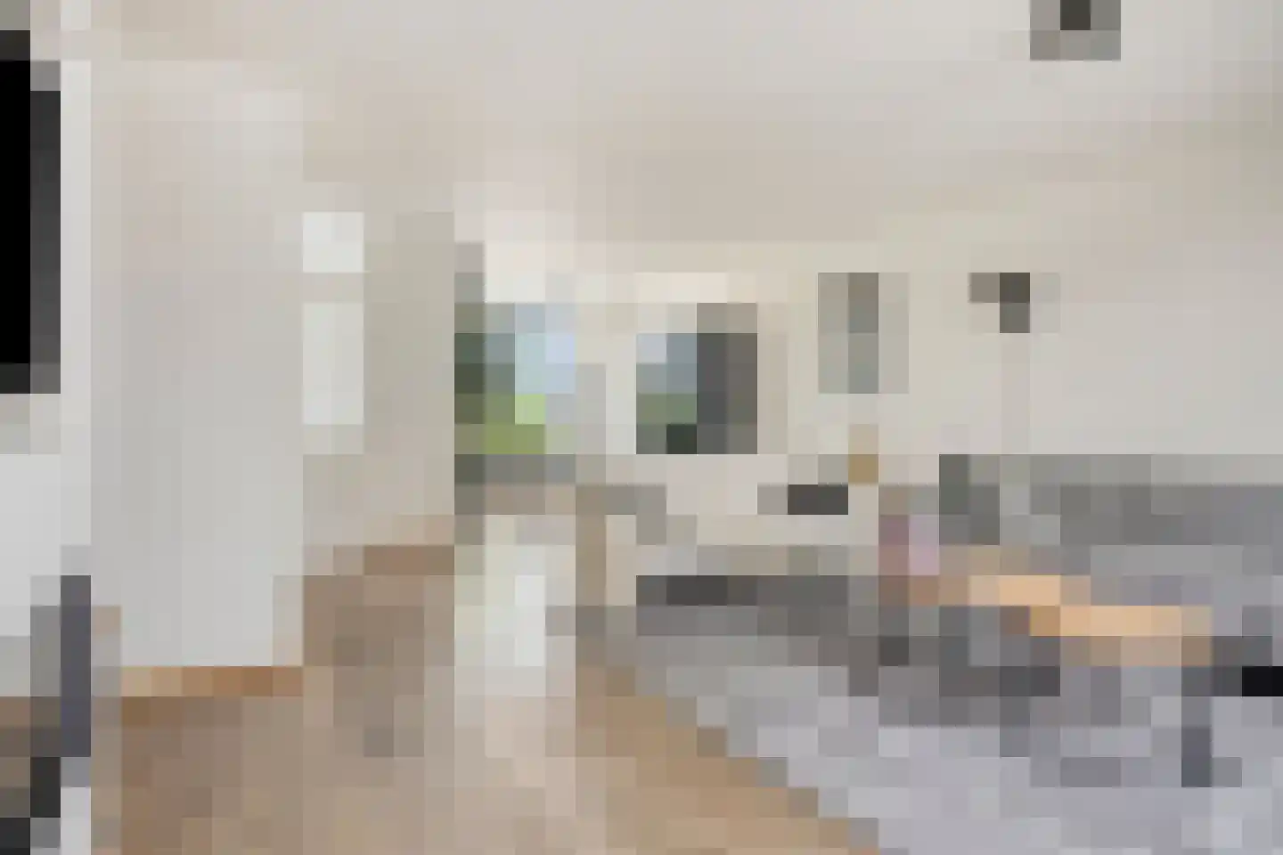Burgemeester Sprengerlaan 3 Ewijk thumbnail 8