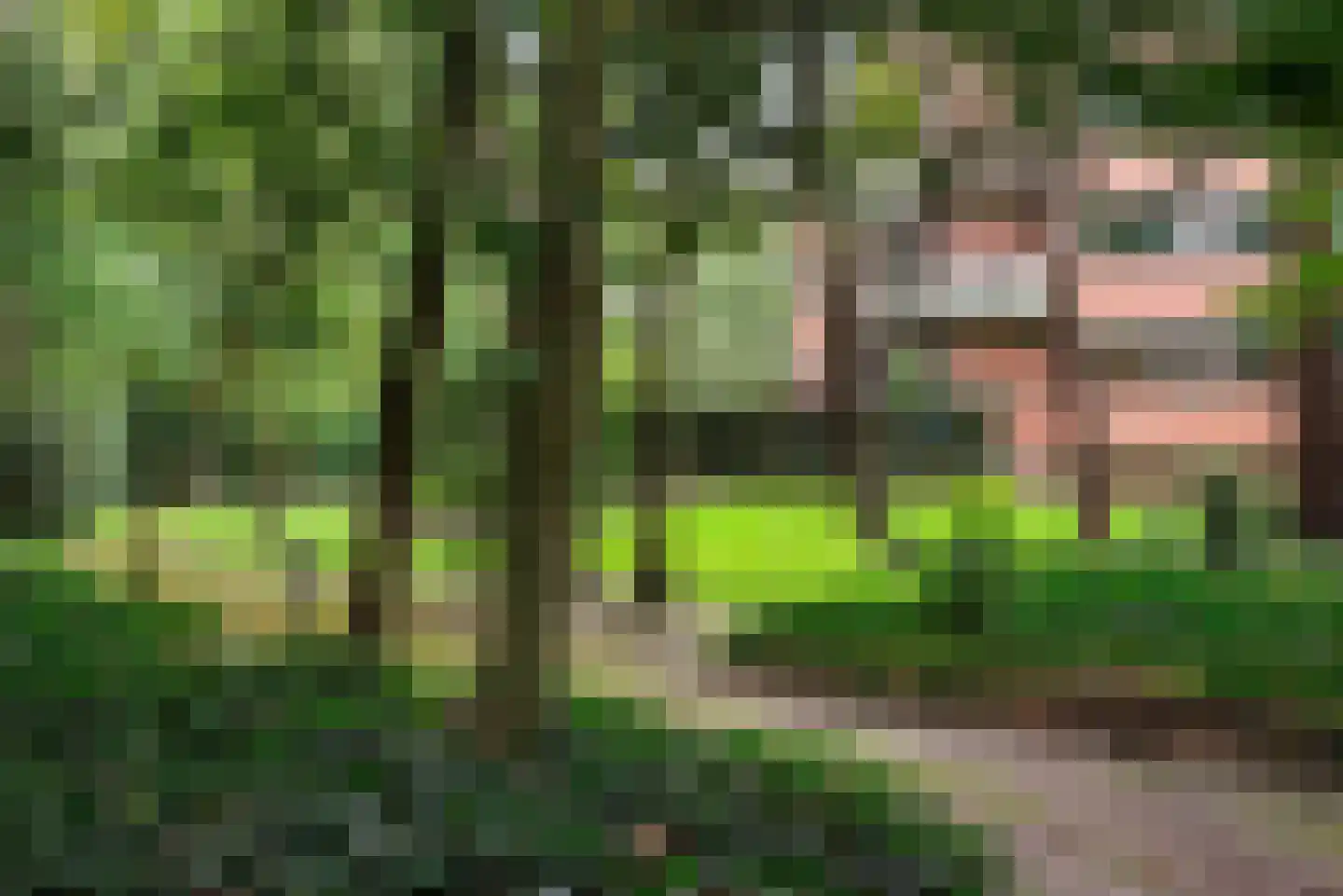 Burgemeester Staablaan 28 Wassenaar thumbnail 12