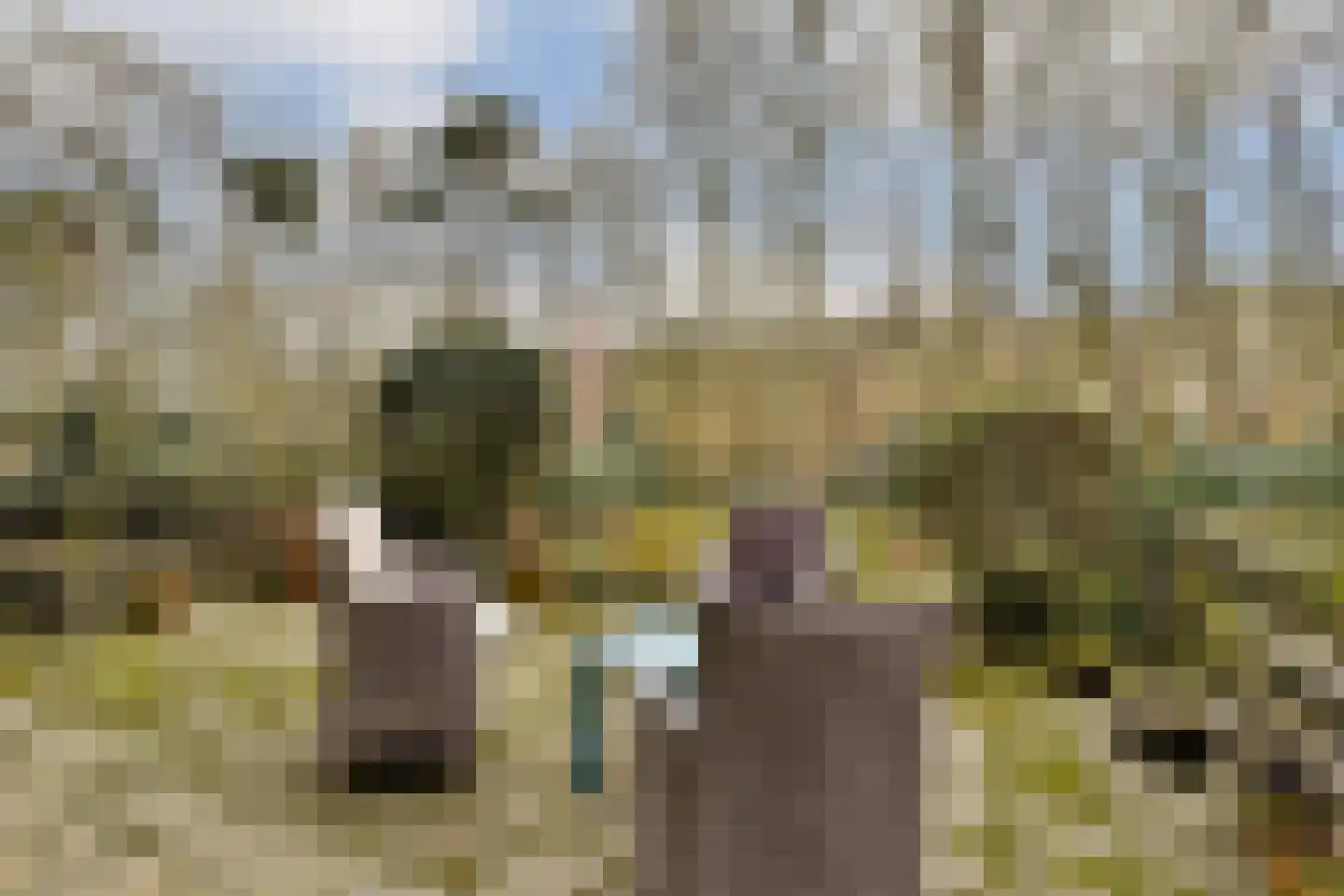 Burgemeester Staablaan 4 Wassenaar thumbnail 20