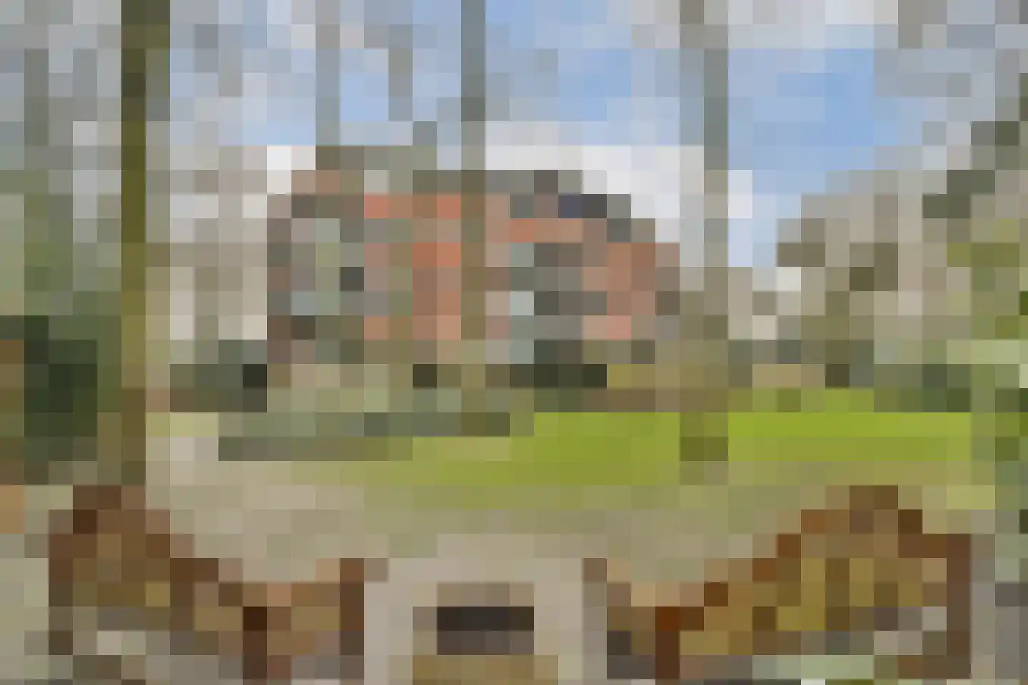 Burgemeester Staablaan 4 Wassenaar thumbnail 25