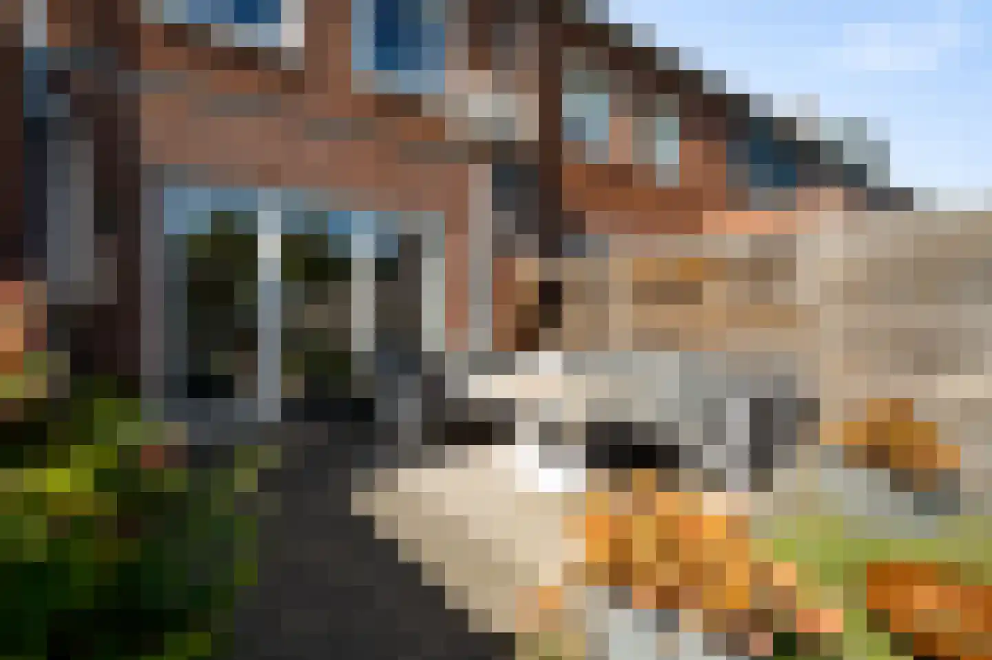 Burgemeester Steeghsstraat 13 Horst thumbnail 25
