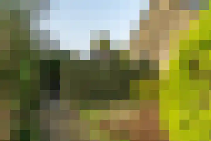 Burgemeester Steenhuisenlaan 7 Burgum thumbnail 28