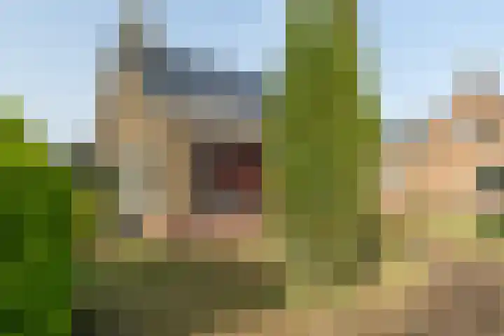 Burgemeester Steenhuisenlaan 7 Burgum thumbnail 6