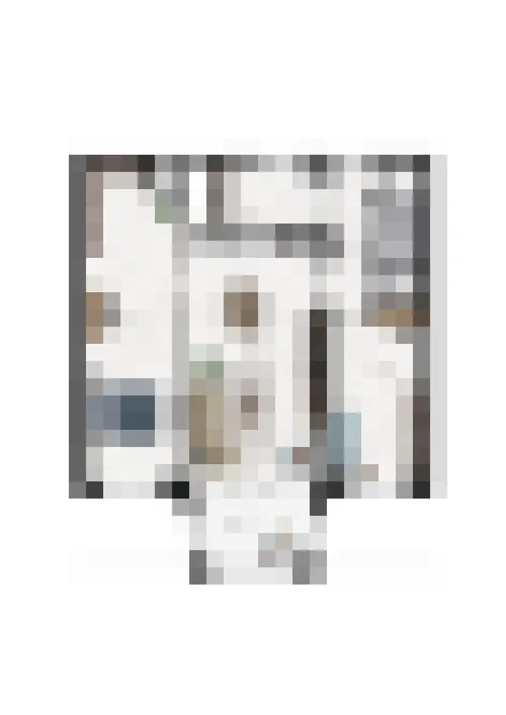 Burgemeester Stekelenburgplein 37 Tilburg thumbnail 13