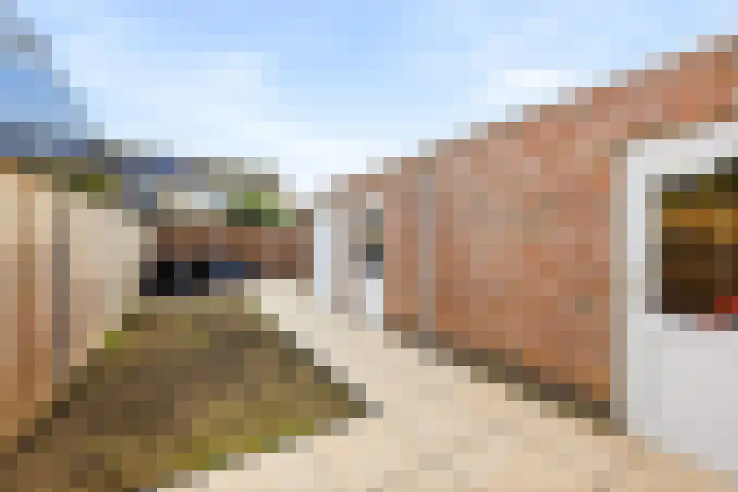 Burgemeester Stemerdinglaan 101 Oost-Souburg thumbnail 23