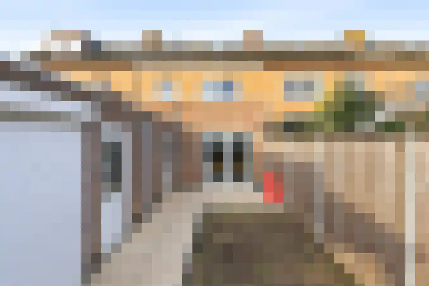 Burgemeester Stemerdinglaan 101 Oost-Souburg thumbnail 26