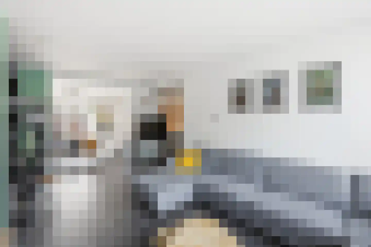 Burgemeester Stemerdinglaan 101 Oost-Souburg thumbnail 7