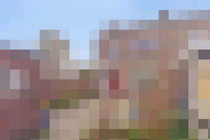 Burgemeester Stemerdinglaan 178 Oost-Souburg thumbnail 21