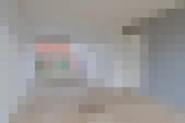 Burgemeester Stemerdinglaan 178 Oost-Souburg thumbnail 6