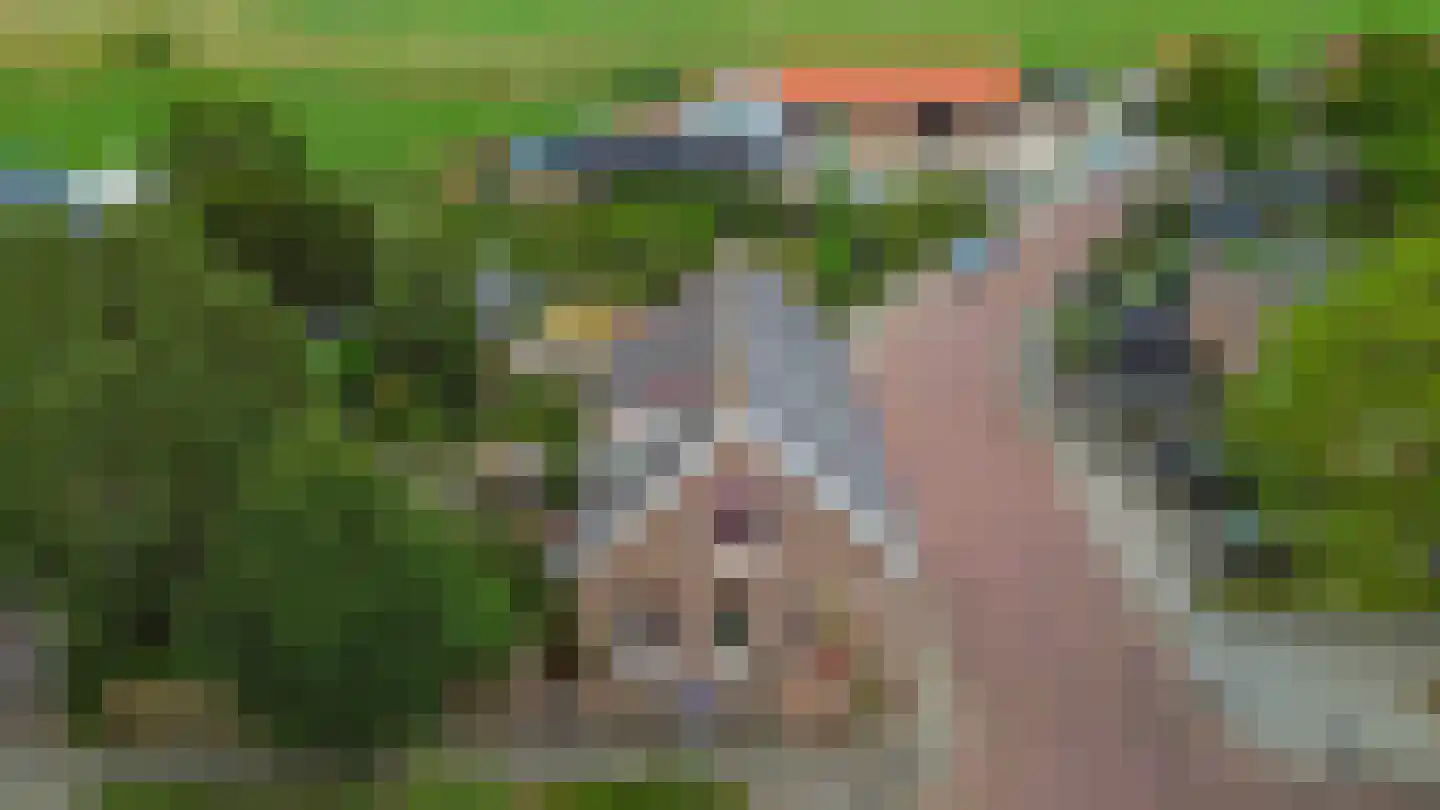Burgemeester Sterkstraat 24 Stad aan 't Haringvliet thumbnail 42