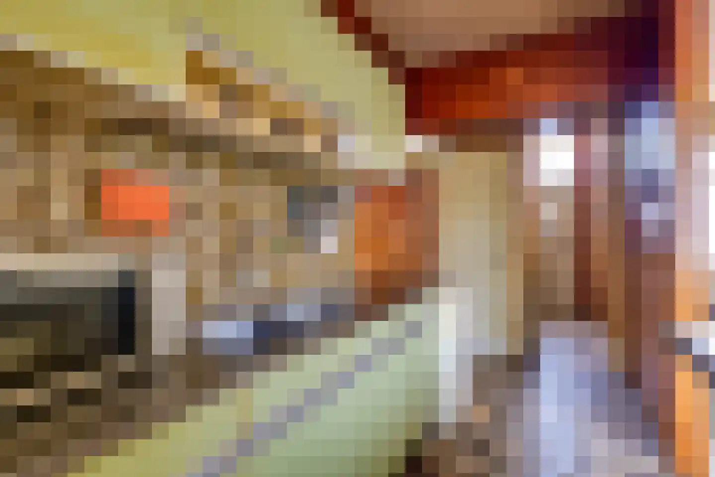 Burgemeester Sterkstraat 6 Stad aan 't Haringvliet thumbnail 11