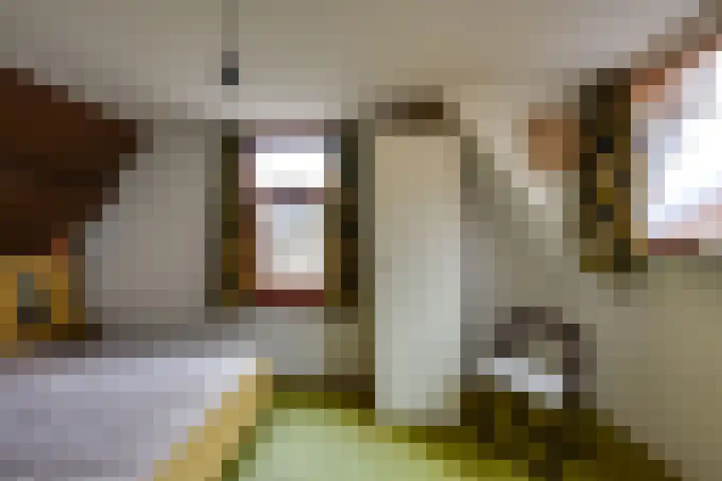 Burgemeester Sterkstraat 6 Stad aan 't Haringvliet thumbnail 26