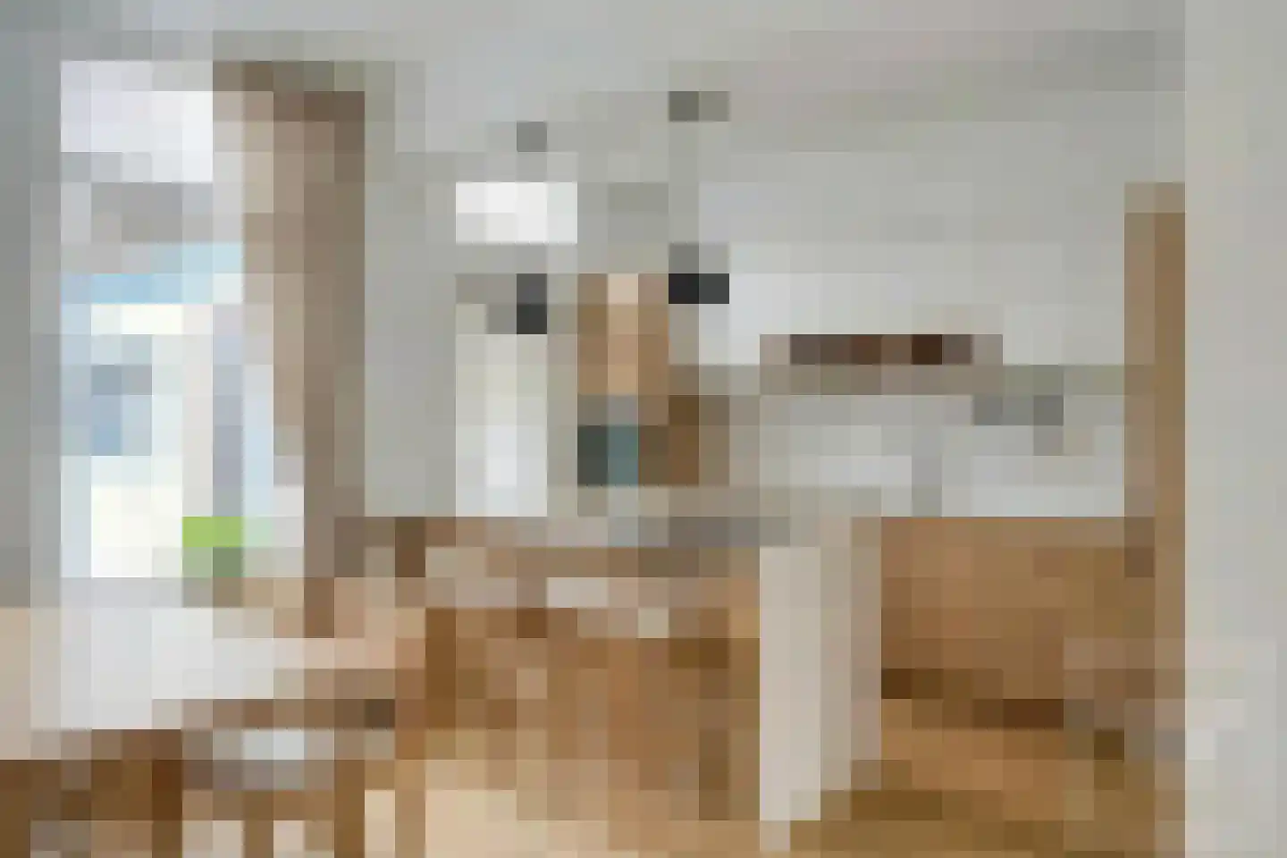 Burgemeester Sterkstraat 6 Stad aan 't Haringvliet thumbnail 6
