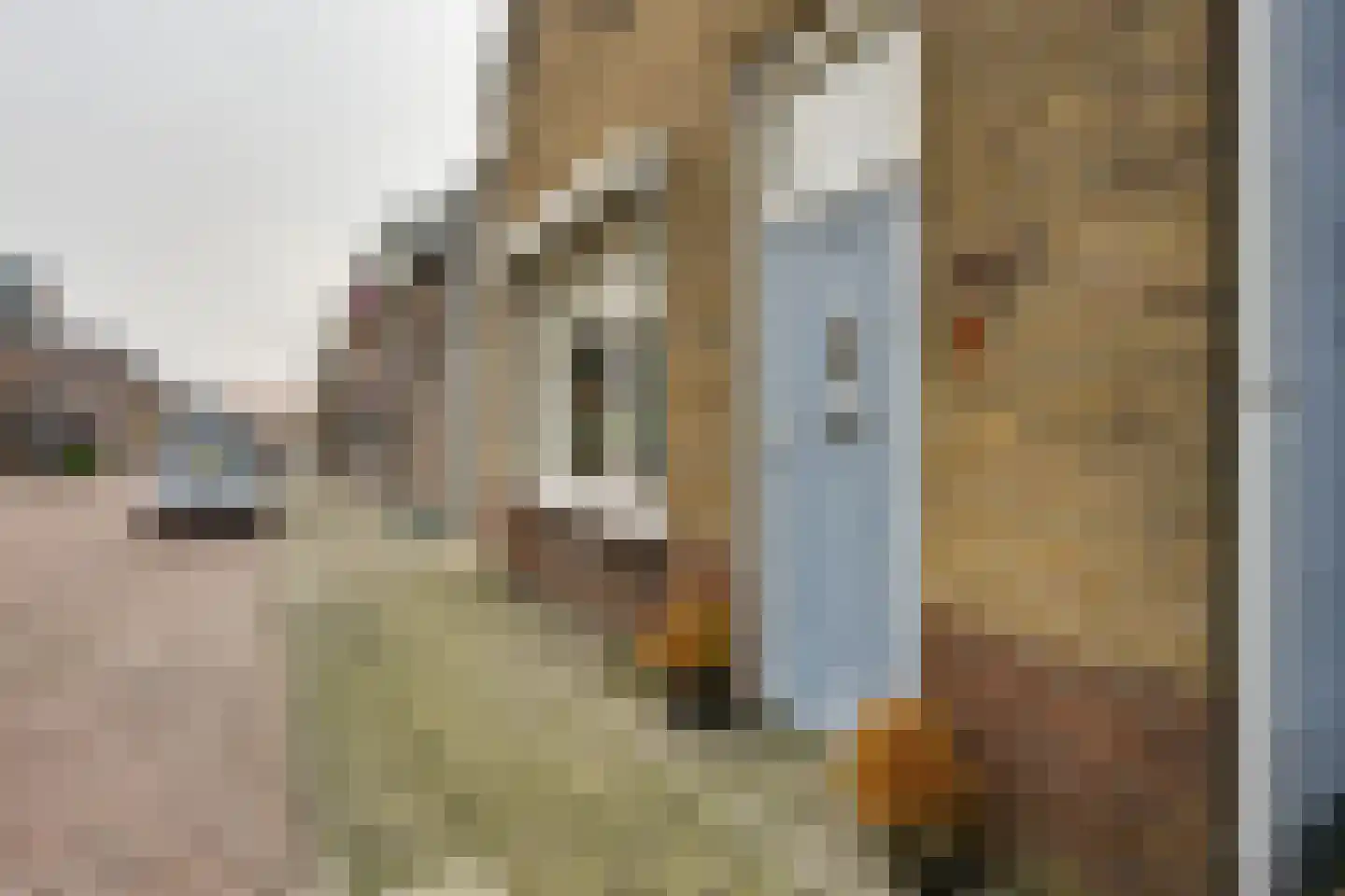 Burgemeester Sterkstraat 6 Stad aan 't Haringvliet thumbnail 8