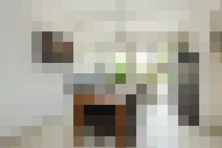 Burgemeester Sterkstraat 7 Stad aan 't Haringvliet thumbnail 9