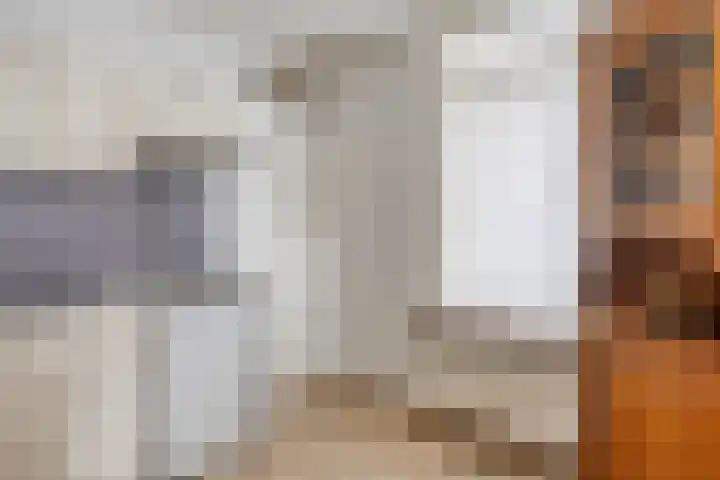 Burgemeester Sterkstraat 8 Stad aan 't Haringvliet thumbnail 12