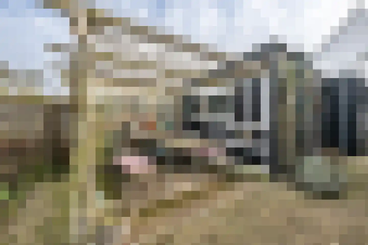 Burgemeester Sterkstraat 9 Stad aan 't Haringvliet thumbnail 38