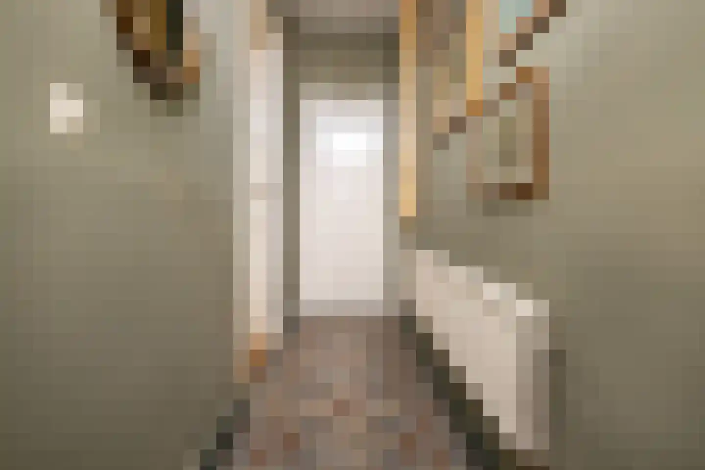 Burgemeester Sterkstraat 9 Stad aan 't Haringvliet thumbnail 7