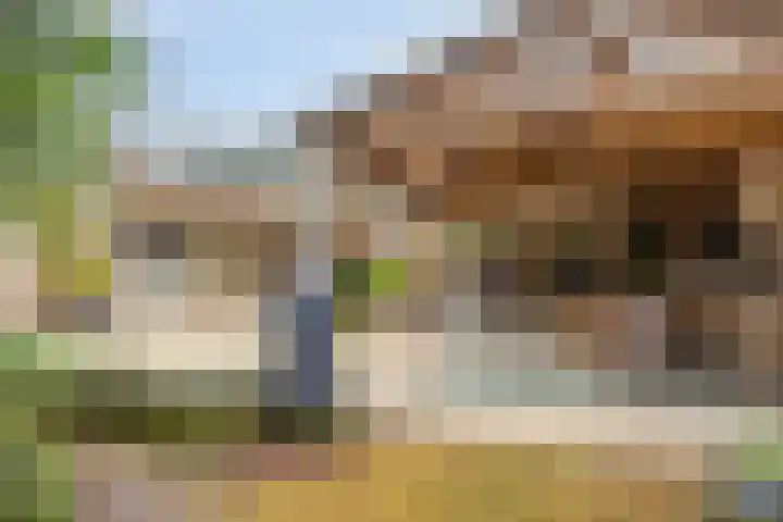 Burgemeester Stolklaan 26 Tiel thumbnail 4
