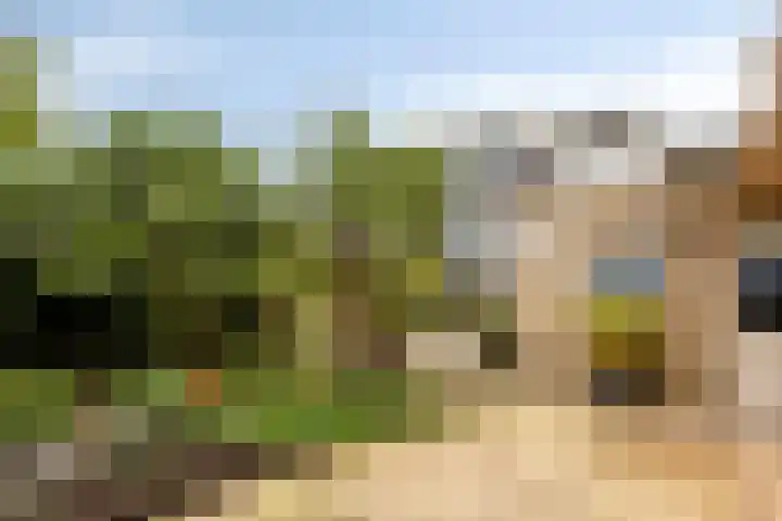 Burgemeester Stolklaan 26 Tiel thumbnail 9