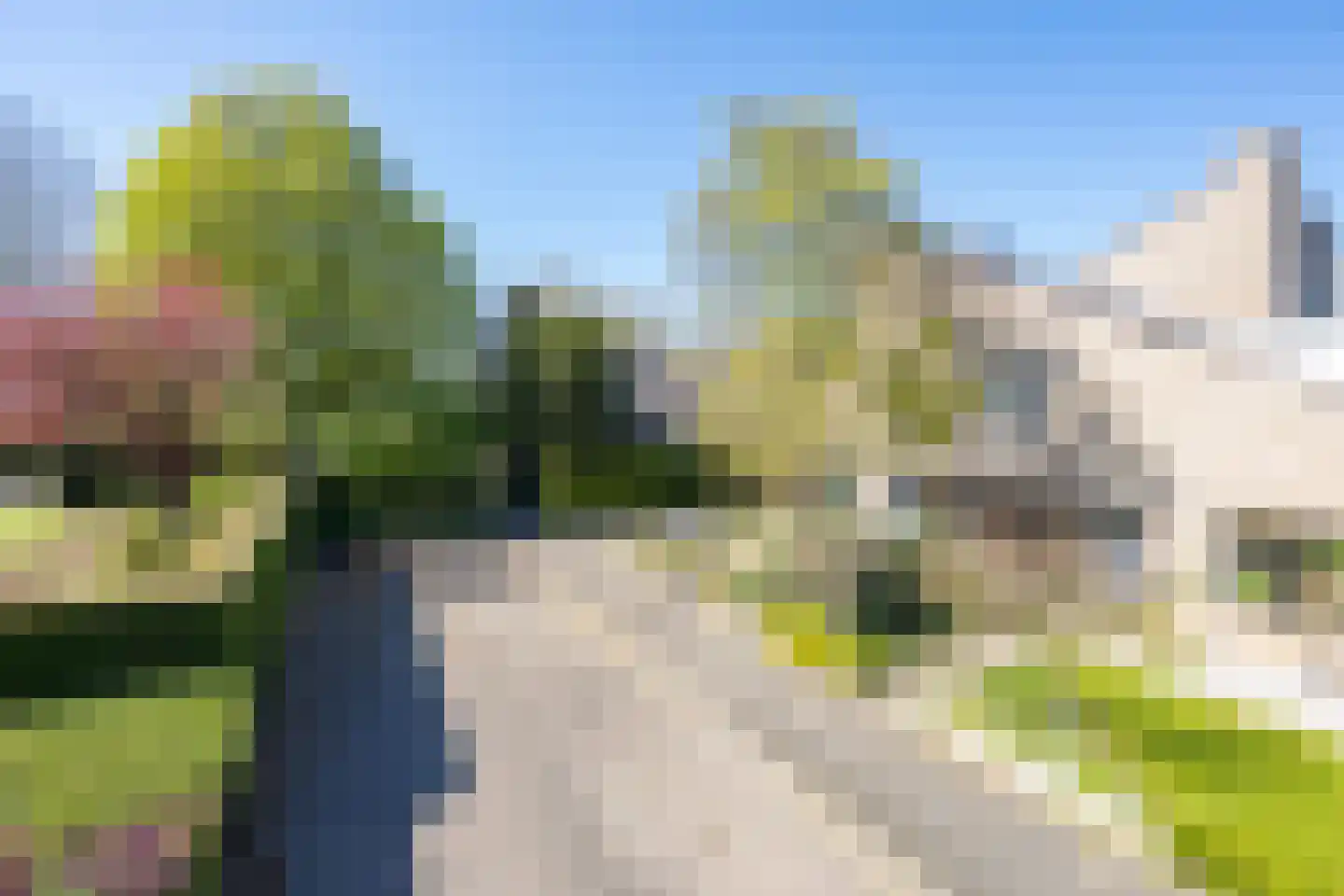 Burgemeester Stolklaan 44 Tiel thumbnail 4
