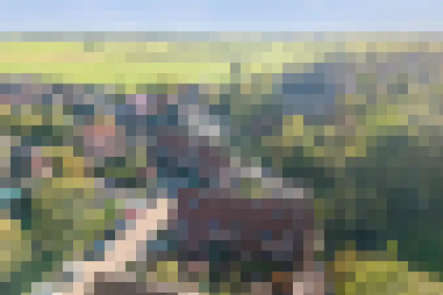 Burgemeester Straathoflaan 8 Hensbroek thumbnail 50