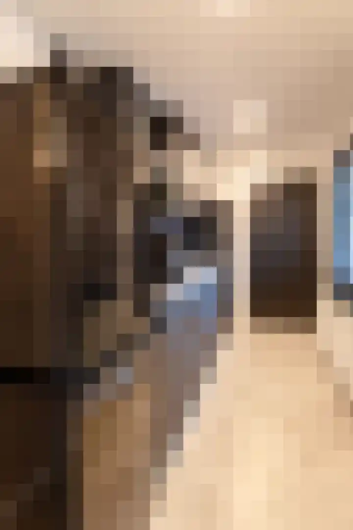 Burgemeester Strick van Linschotenstraat 12 Maarssen thumbnail 10